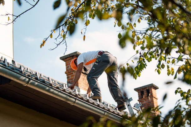 Best Roof Leak Repair  in Scott City, KS